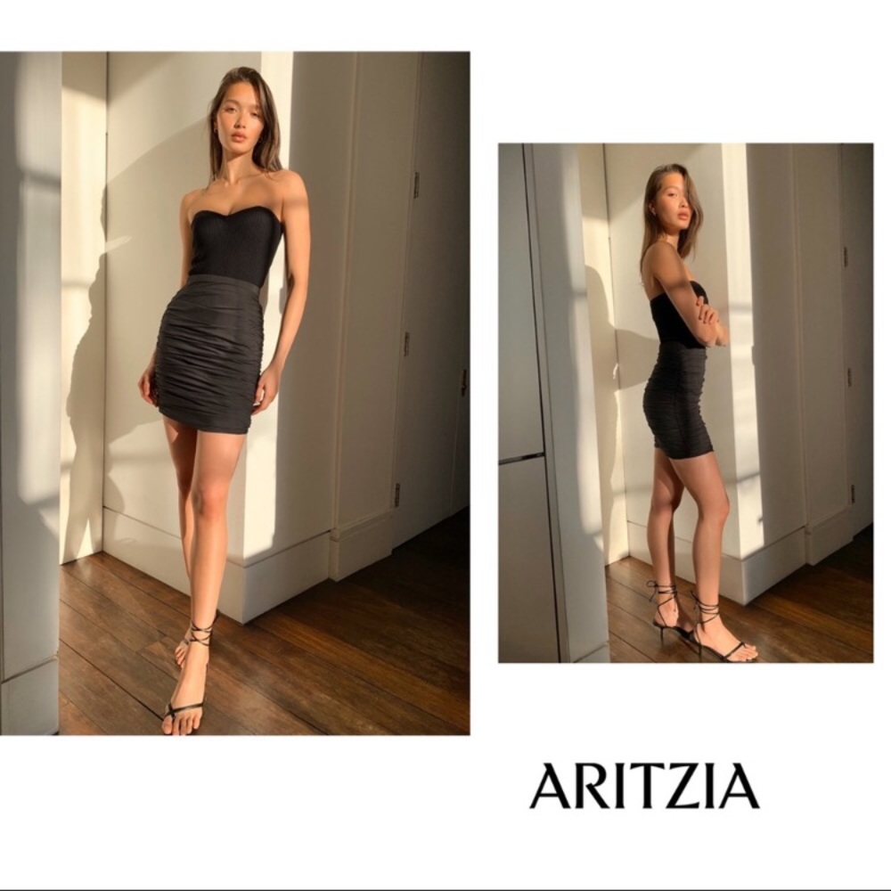 aritzia Babaton presto skirt luxor